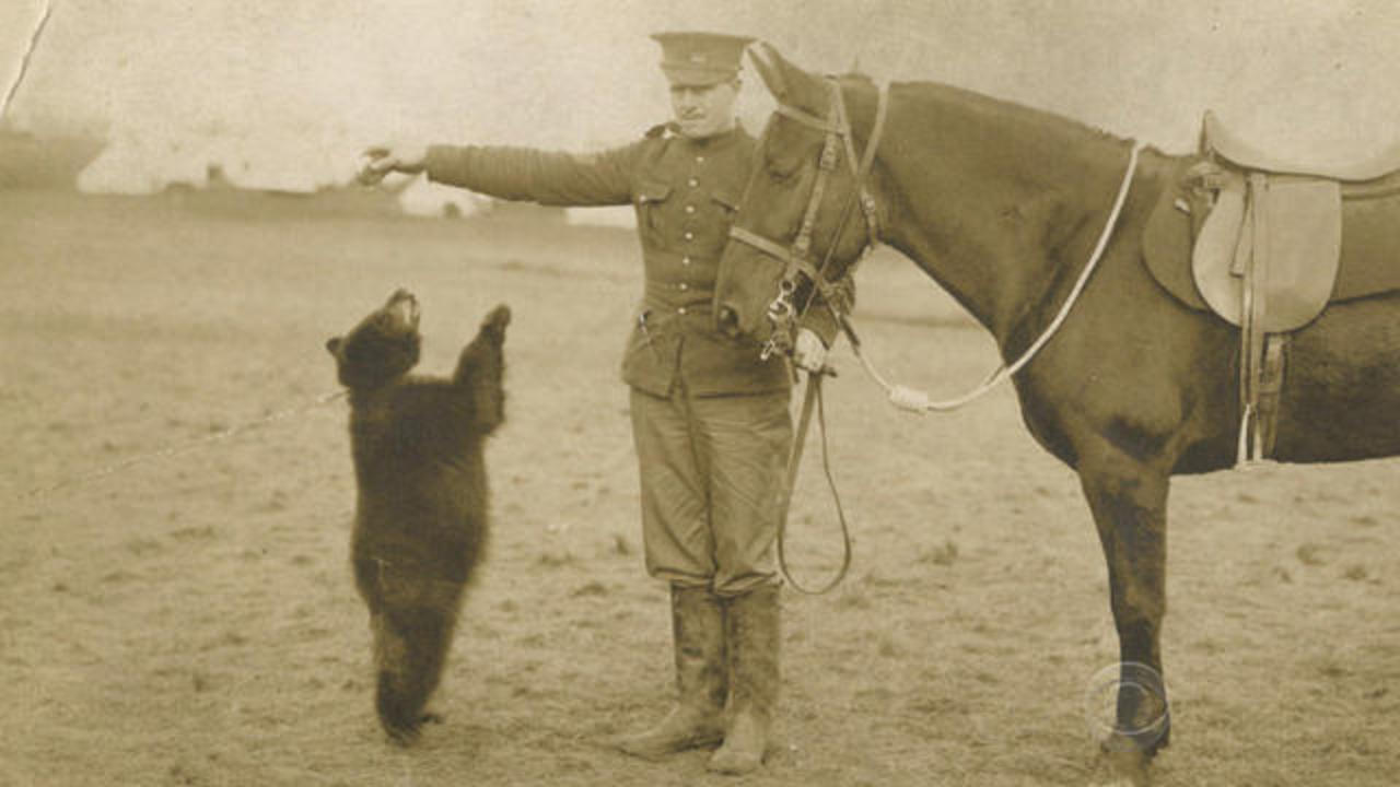 Harry Colebourn And The Real life Winnie The Pooh