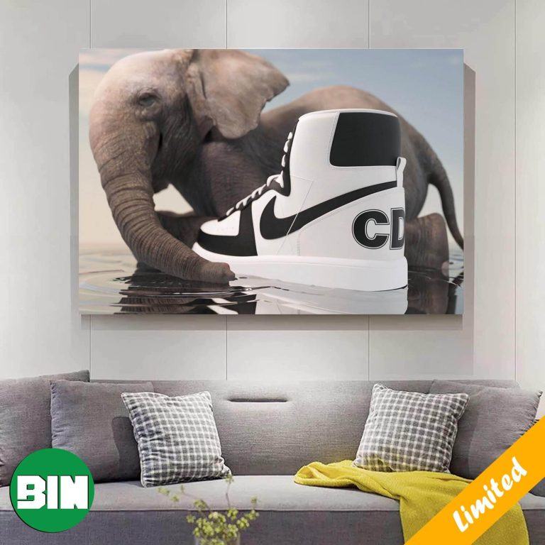 Cody Rhodes WWE from undesirable to undeniable Poster Canvas Binteez