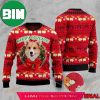 Christmas Patterns And Lovely Corgi In The Box 3D Funny Ugly Sweater