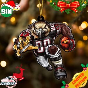 NFL Atlanta Falcons Sport Ornament 2023 Christmas Tree Decorations