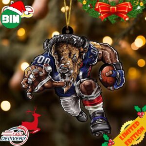 NFL Buffalo Bills Sport Ornament 2023 Christmas Tree Decorations