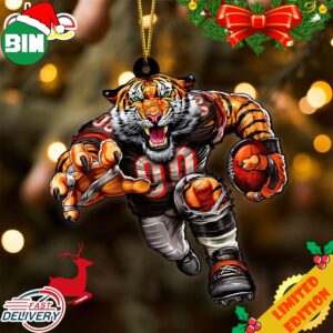 NFL Cincinnati Bengals Sport Ornament 2023 Christmas Tree Decorations