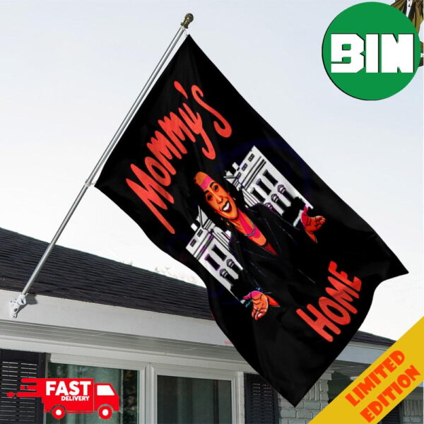 Funny Kamala Harris Mommys Home 2024 Garden House Flag Home Decor